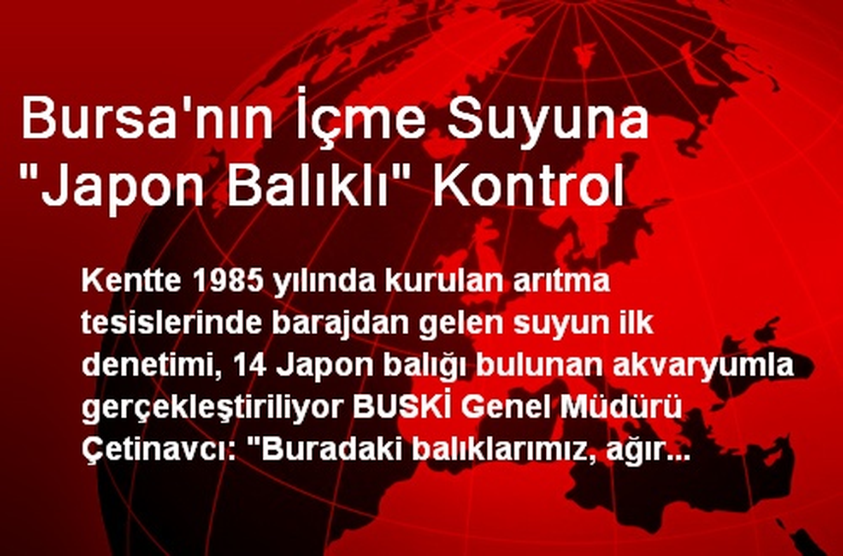 Bursa\'nın İçme Suyuna "Japon Balıklı" Kontrol