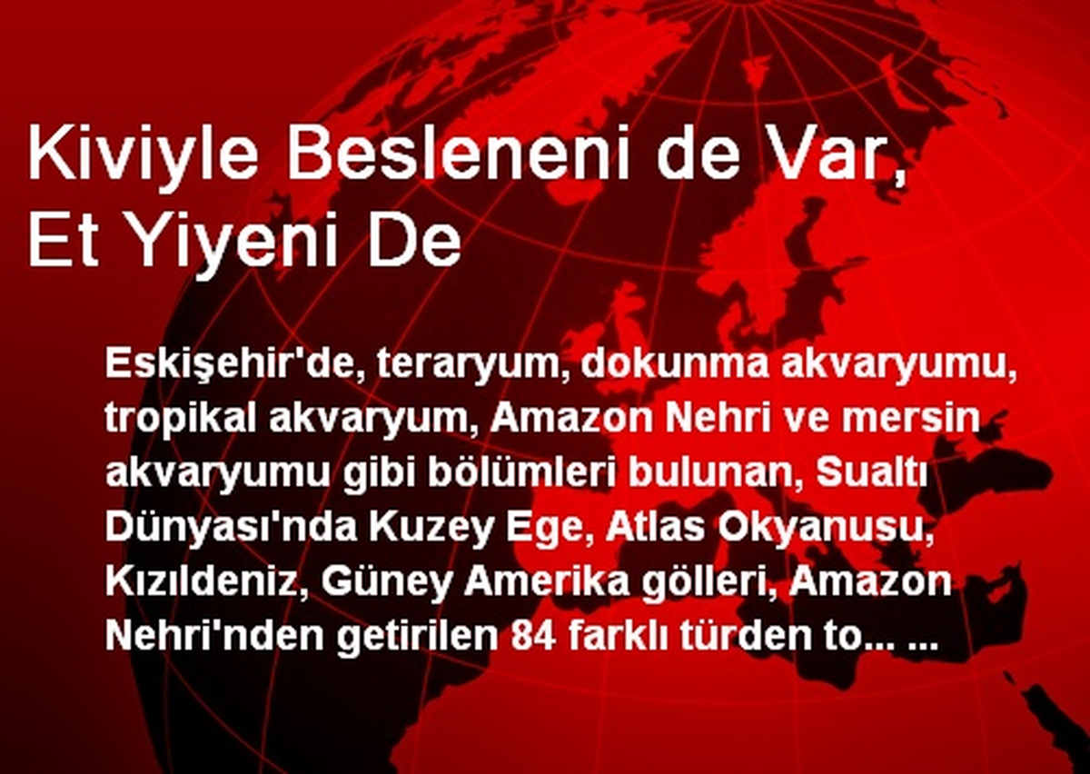 Kiviyle Besleneni de Var, Et Yiyeni De