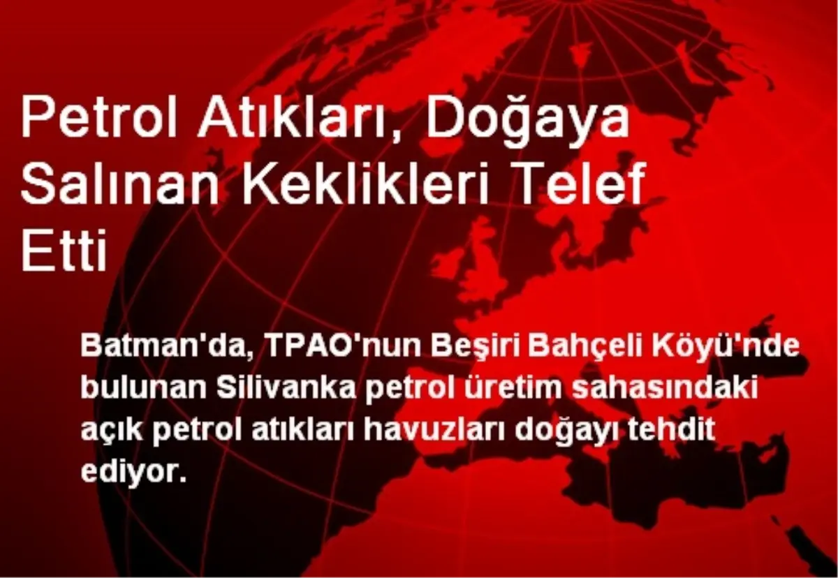 Petrol Atıkları, Doğaya Salınan Keklikleri Telef Etti