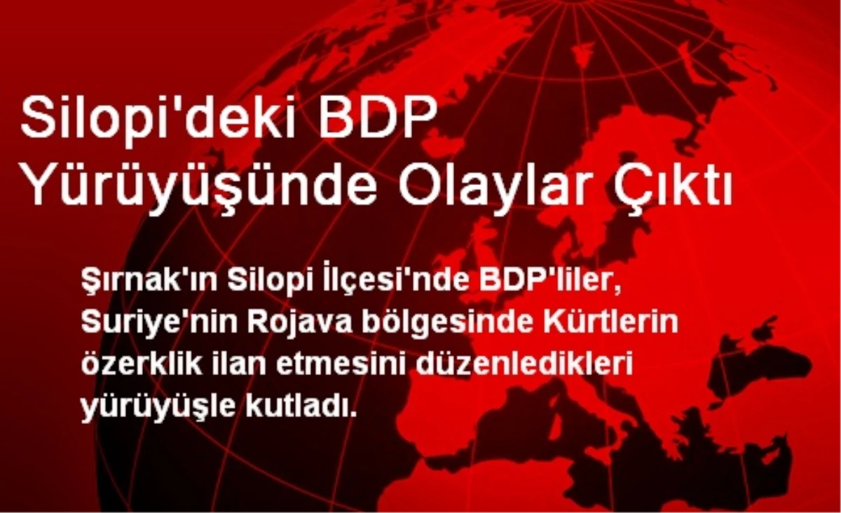 Silopi\'deki BDP Yürüyüşünde Olaylar Çıktı