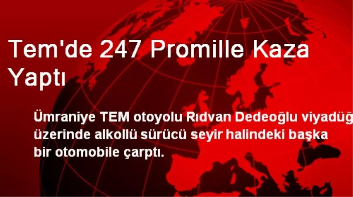 Tem\'de 247 Promille Kaza Yaptı