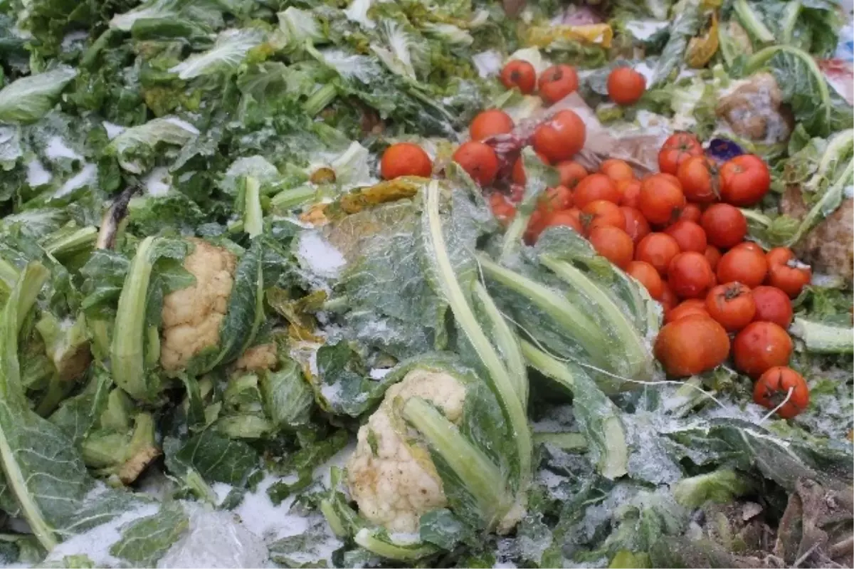 Edirne\'de Haldeki Sebze-Meyveler Buz Tuttu