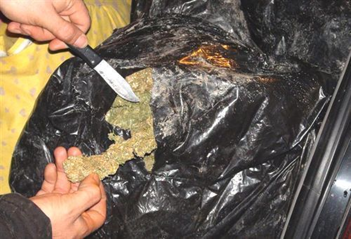 Erzurum\'da 98 Kilogram Esrar Ele Geçirildi