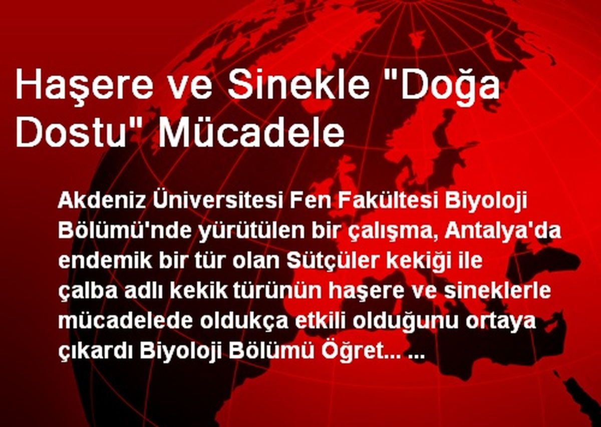 Haşere ve Sinekle "Doğa Dostu" Mücadele