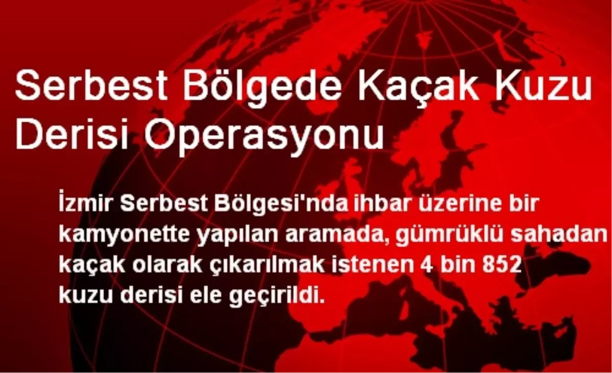 Serbest Bölgede Kaçak Kuzu Derisi Operasyonu