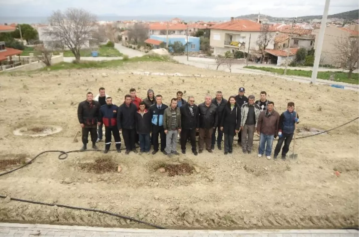 Çeşme Belediyesi\'nin "Sakız Ormanları" Hayali