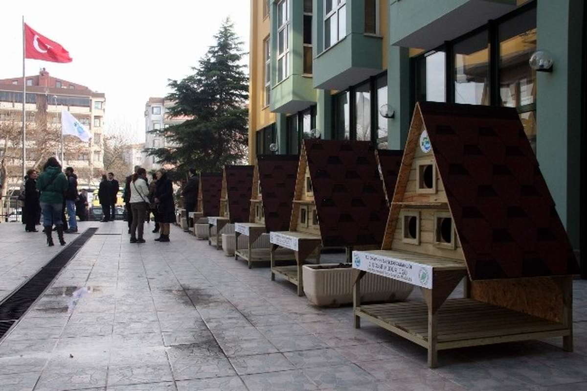 Kedilere Yeni Evler
