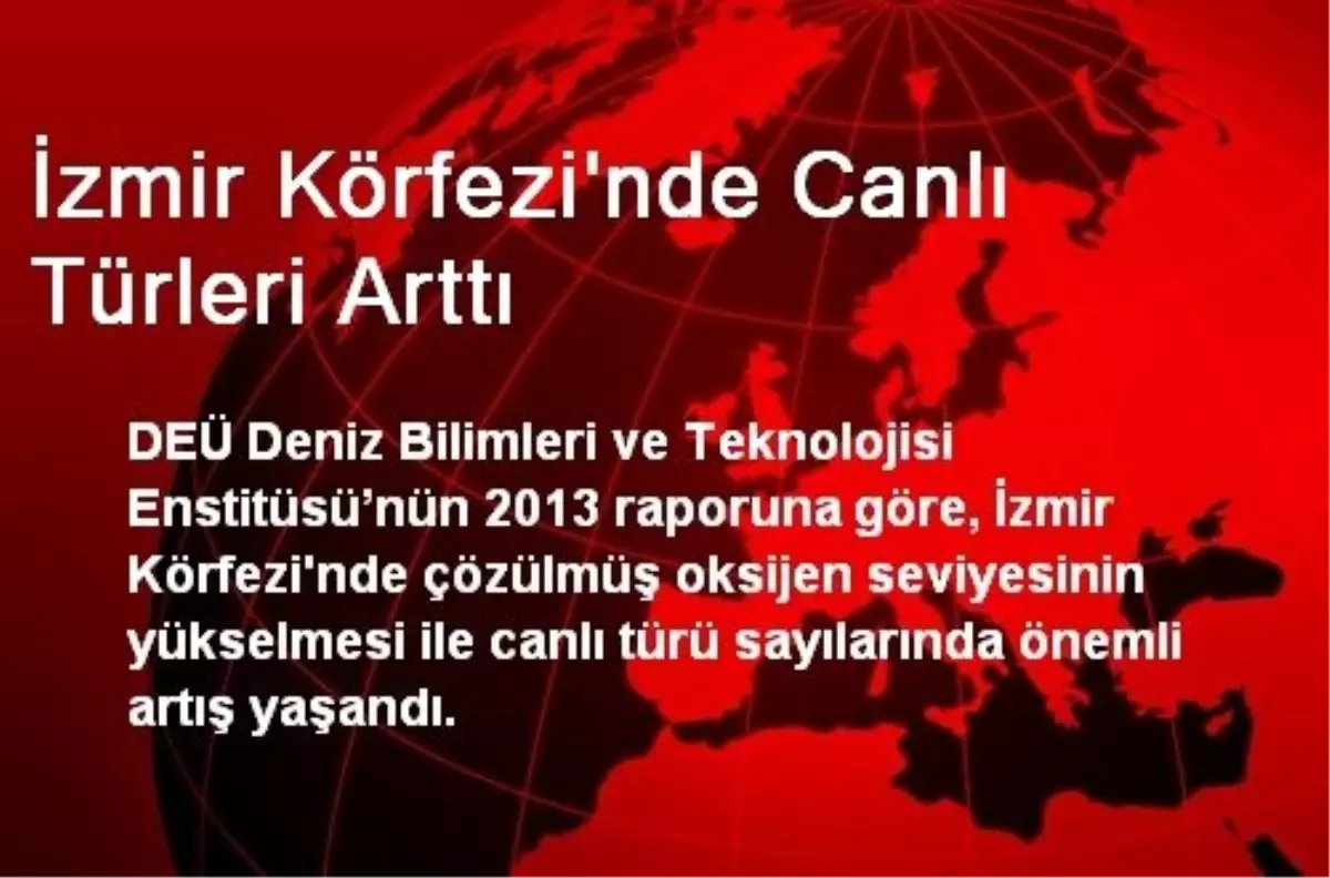 İzmir Körfezi\'nde Canlı Türleri Arttı