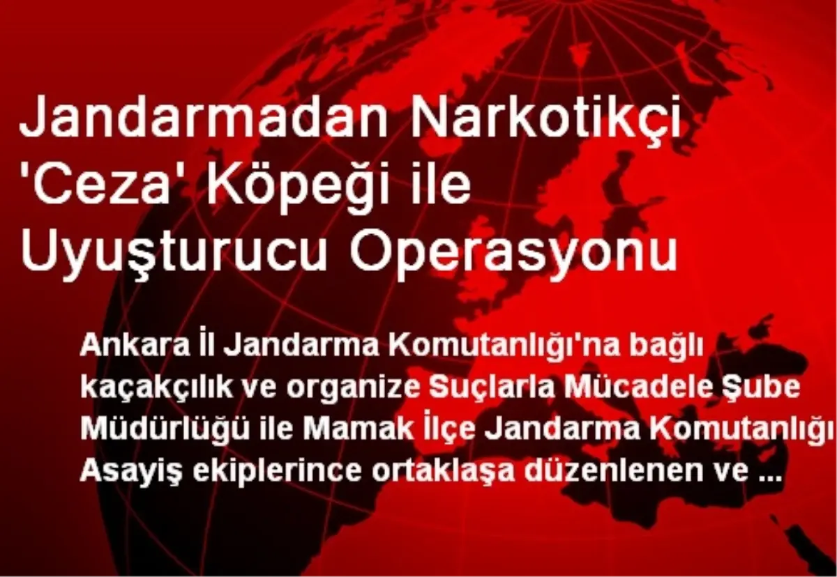 Jandarmadan Narkotikçi \'Ceza\' Köpeği ile Uyuşturucu Operasyonu