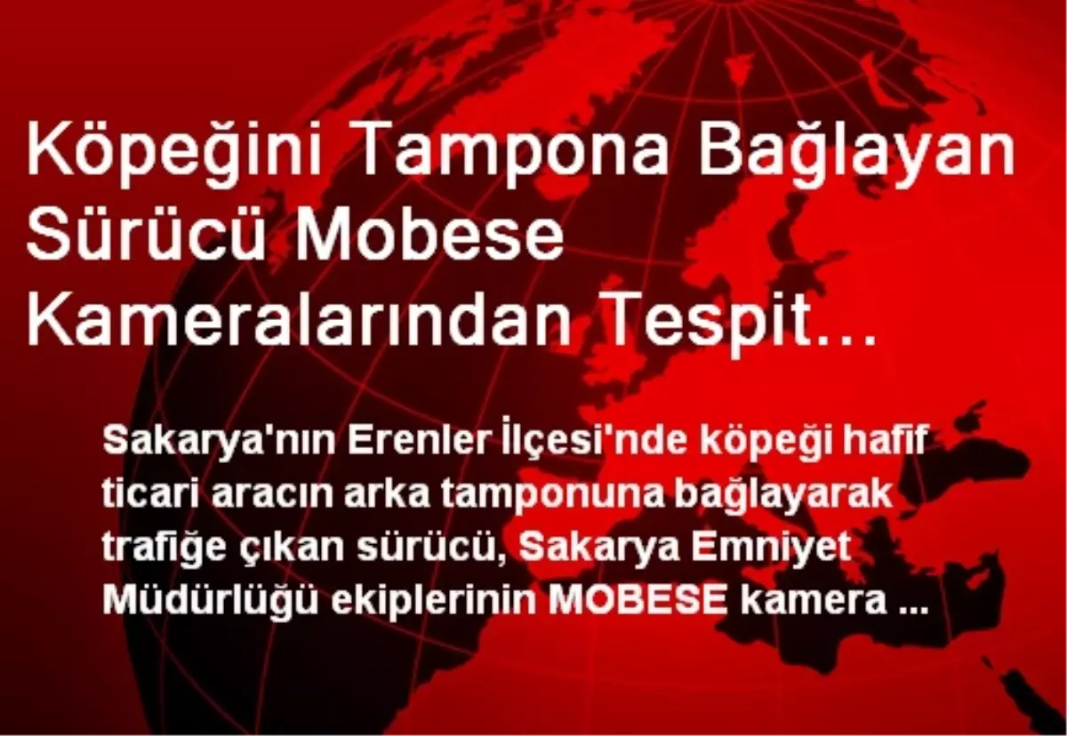 Köpeğini Tampona Bağlayan Sürücü MOBESE\'den Tespit Edildi