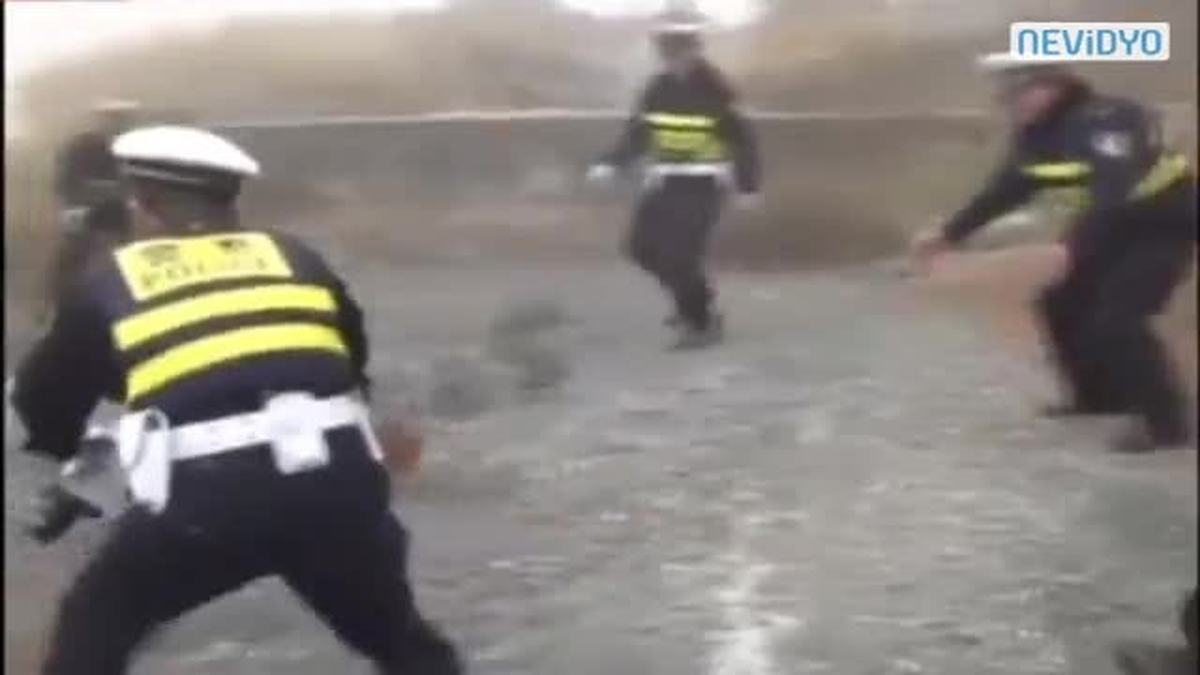 Polislerin Tavuklarla İmtihanı