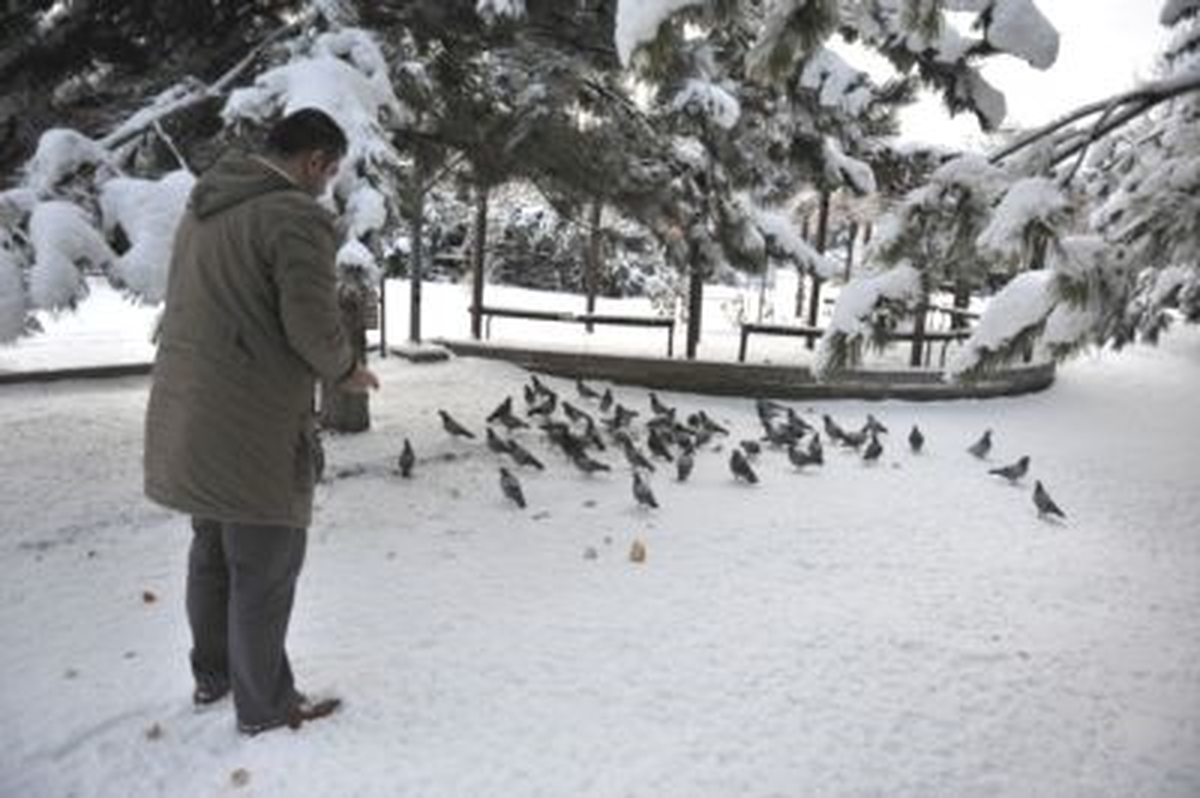 Soğuk Hava, Kuşları Olumsuz Etkiliyor