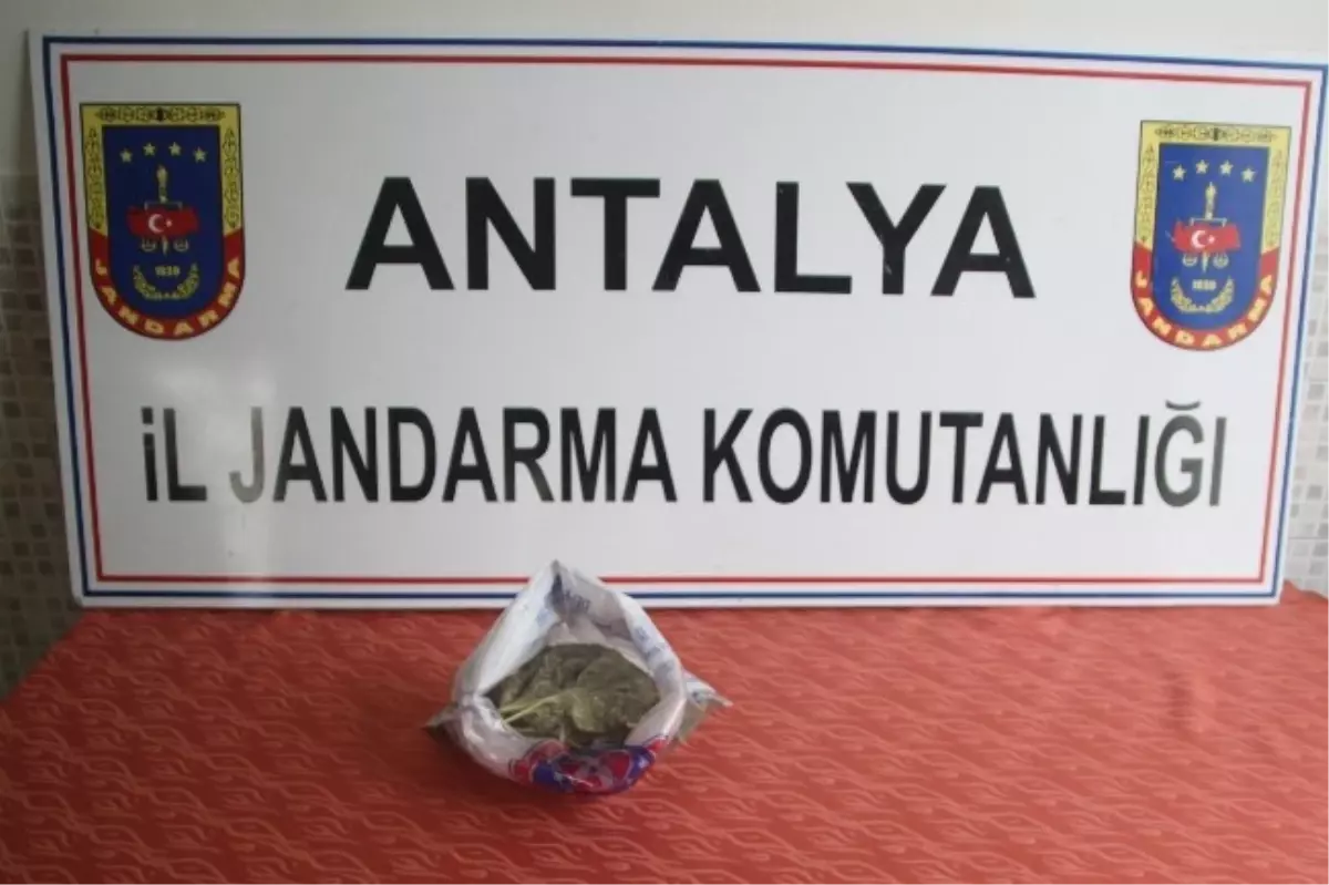 Antalya\'da Uyuşturucu Operasyonu