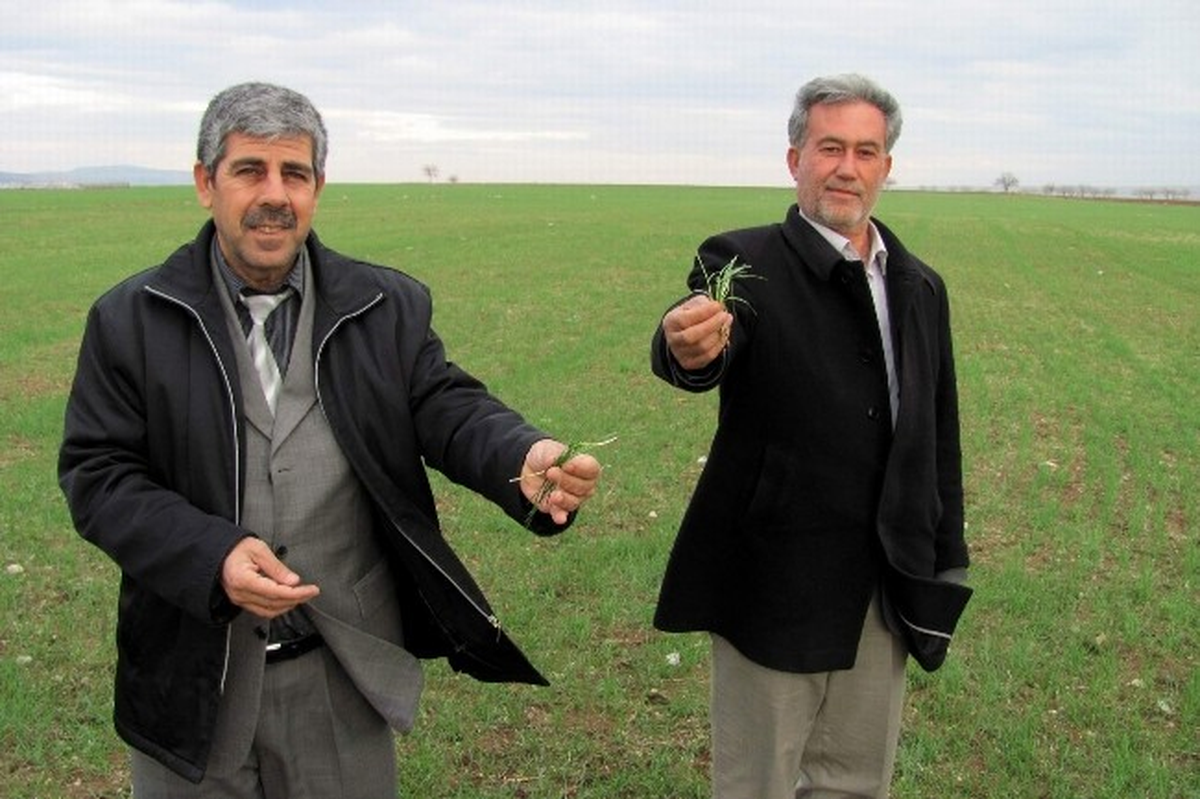 Araban Ovası Suya Doydu