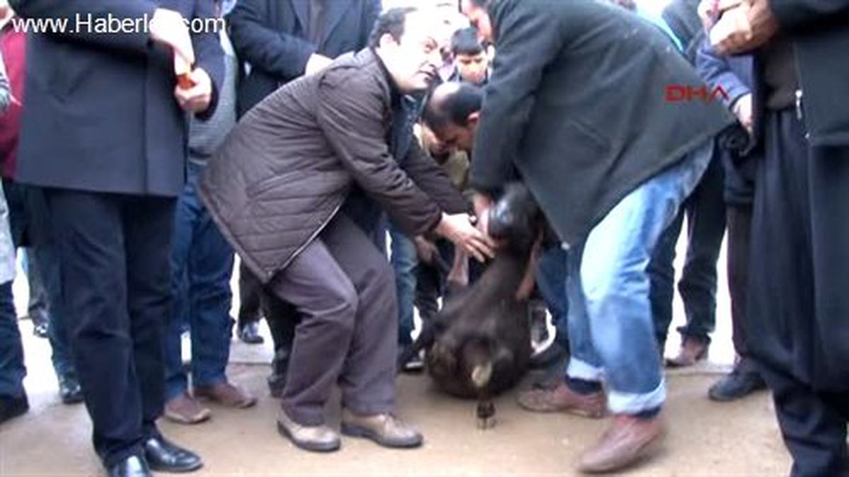 BDP Adayı Baydemir Şanlıurfa\'da Seçim Çalışmasında