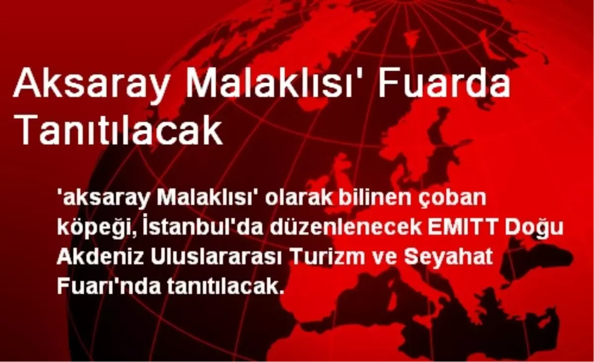 Aksaray Malaklısı\' Fuarda Tanıtılacak