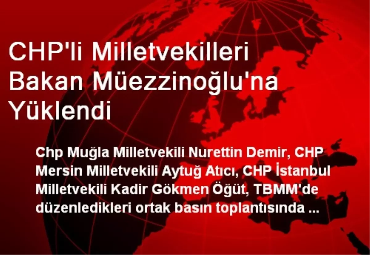 CHP\'li Milletvekilleri Bakan Müezzinoğlu\'na Yüklendi