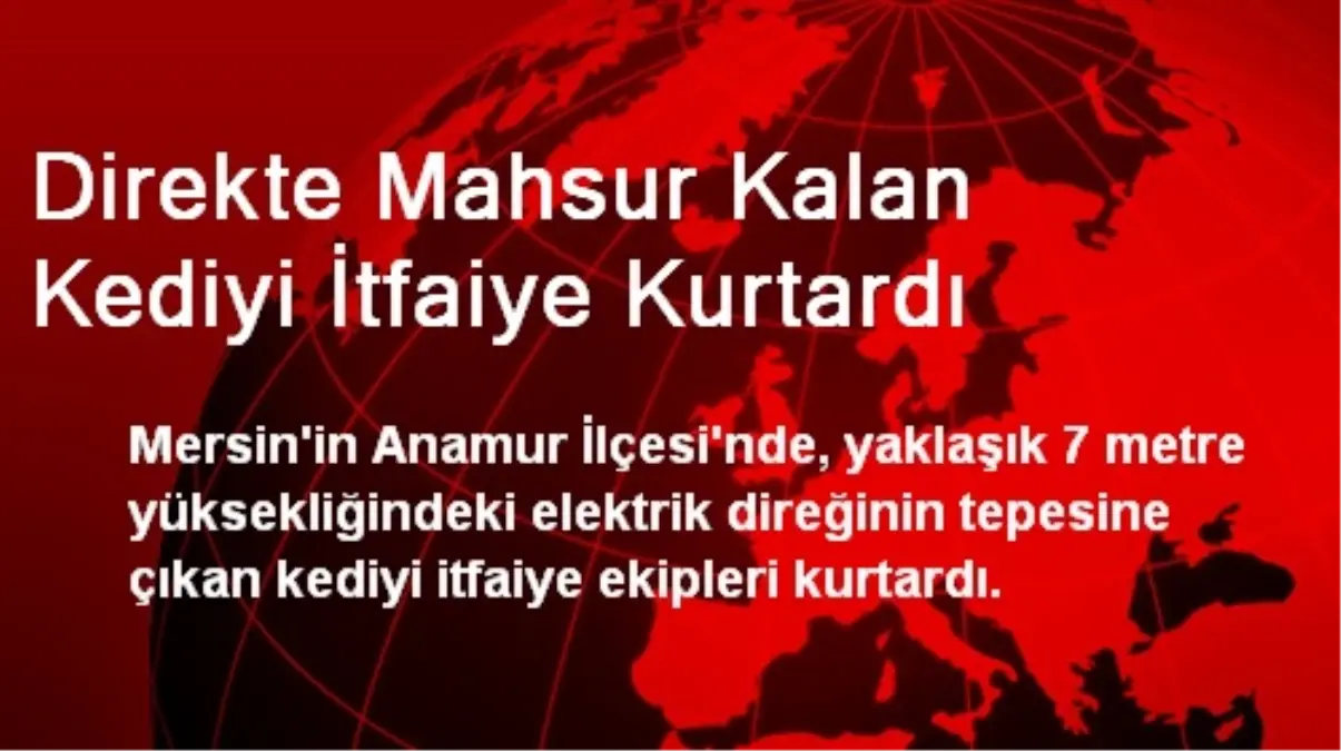 Mersin\'de Direkte Mahsur Kalan Kediyi İtfaiye Kurtardı