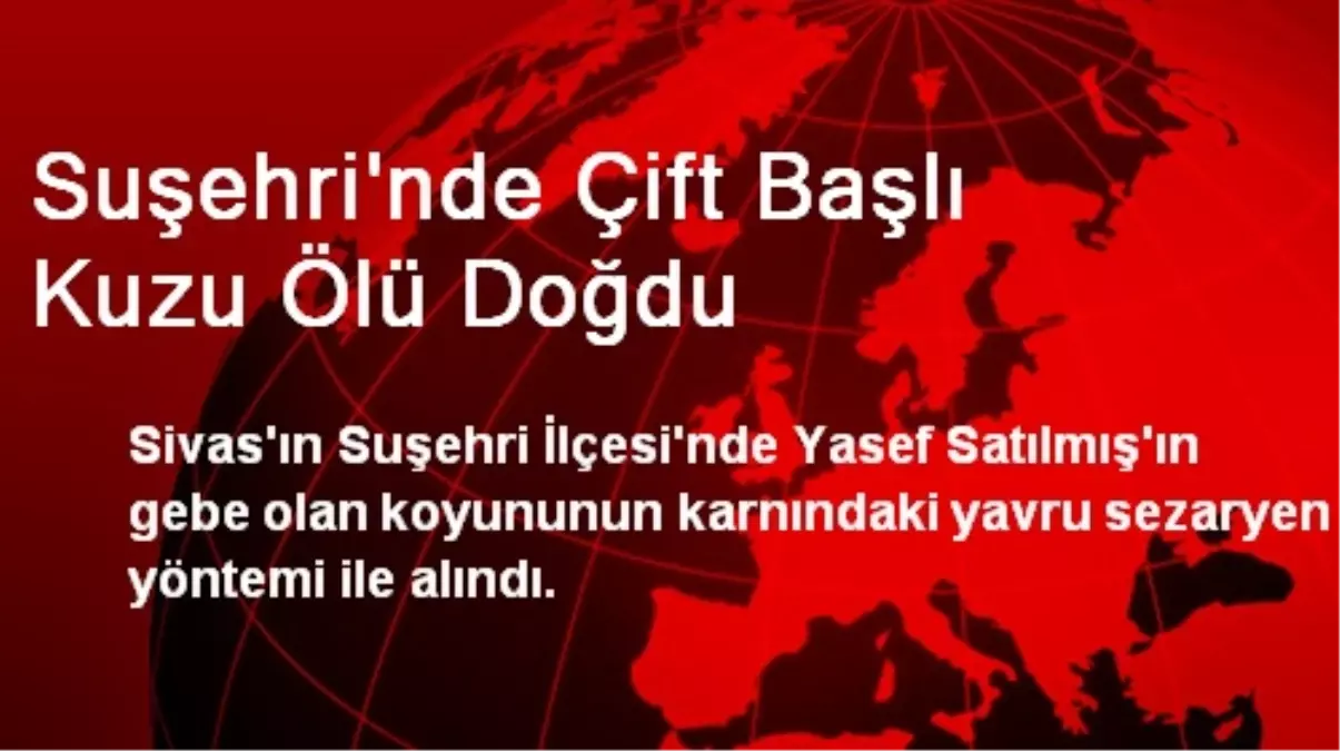 Suşehri\'nde Çift Başlı Kuzu Ölü Doğdu