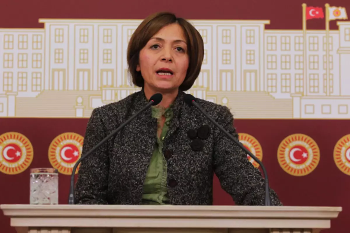 CHP\'li Dilek Akagün Yılmaz -