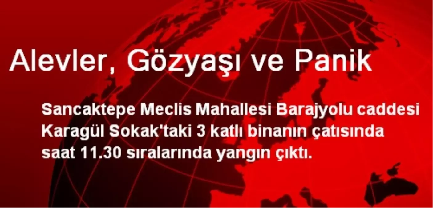 Alevler, Gözyaşı ve Panik