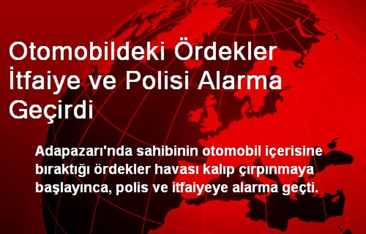 Otomobildeki Ördekler İtfaiye ve Polisi Alarma Geçirdi