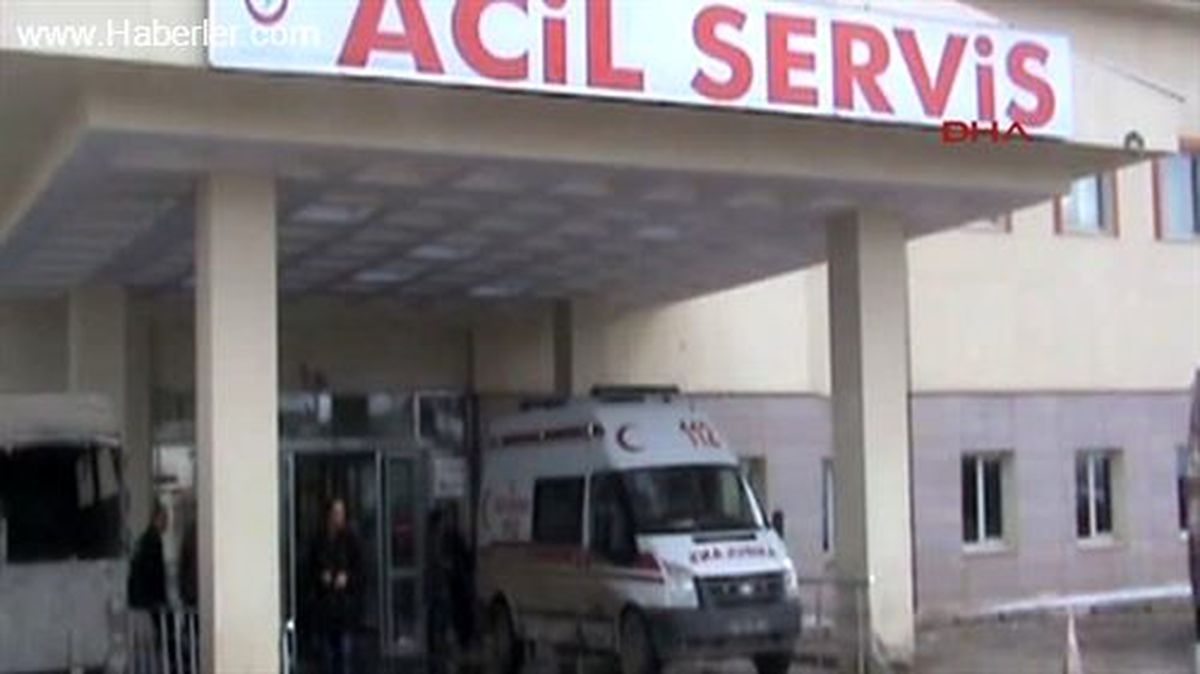 Atının Çiftesiyle Ölen İranlı Kaçakçının Arkadaşları Tutuklandı