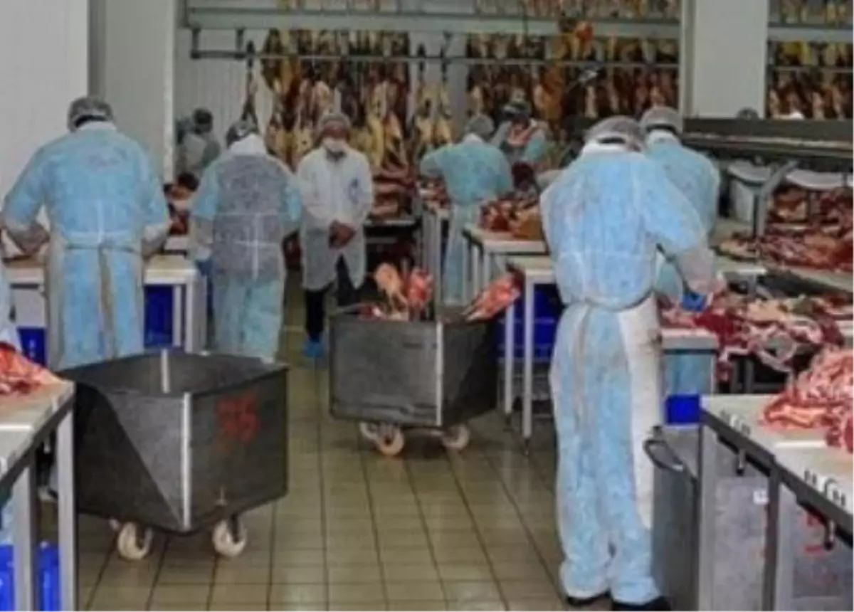 Et ve Süt Kurumu\'ndan Besicilere Pazar Garantisi Sürüyor