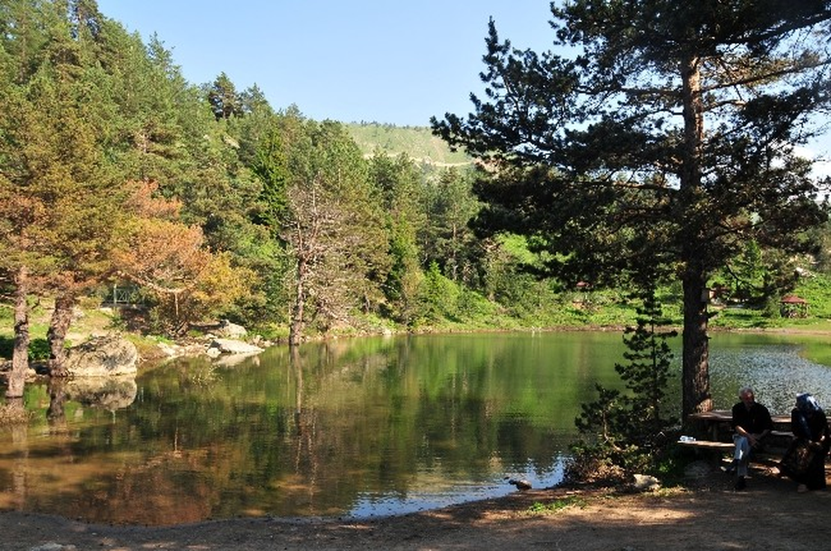 Limni Gölüne Ahşap Kır Evi Yapılacak