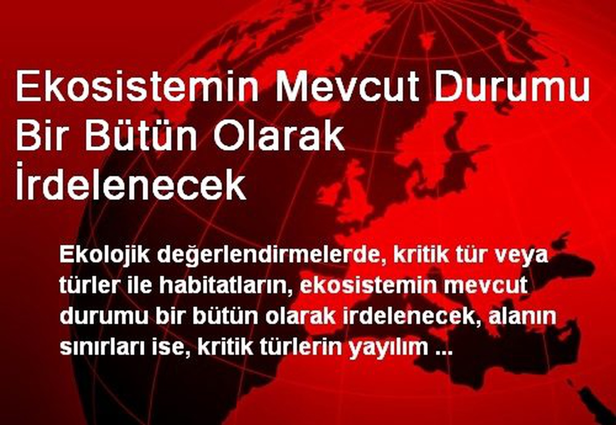 Ekosistemin Mevcut Durumu Bir Bütün Olarak İrdelenecek