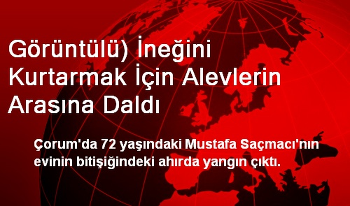 Görüntülü) İneğini Kurtarmak İçin Alevlerin Arasına Daldı