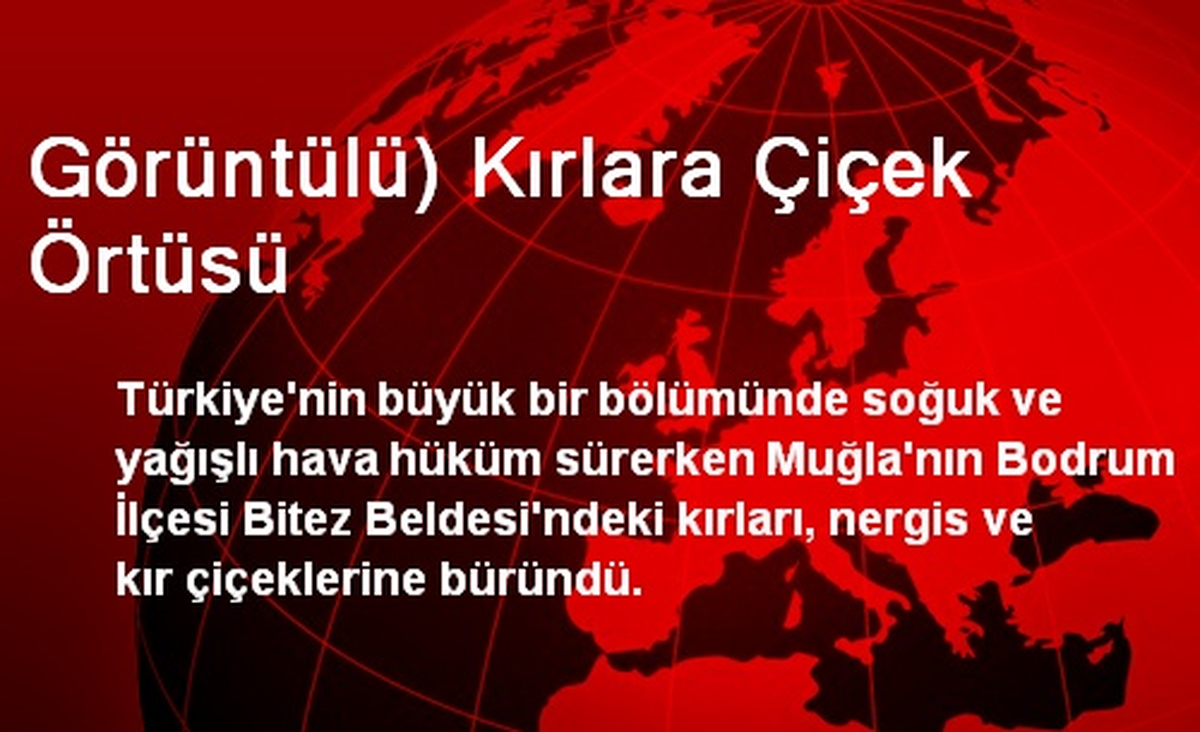 Görüntülü) Kırlara Çiçek Örtüsü