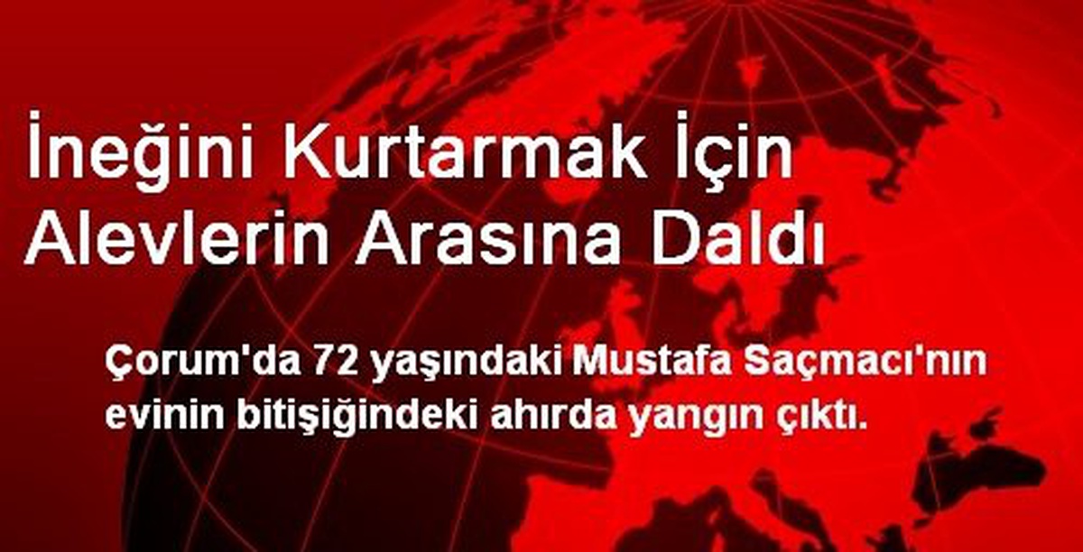 İneğini Kurtarmak İçin Alevlerin Arasına Daldı