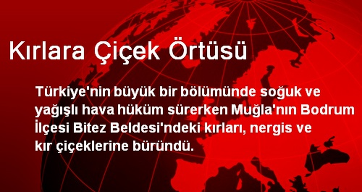 Kırlara Çiçek Örtüsü