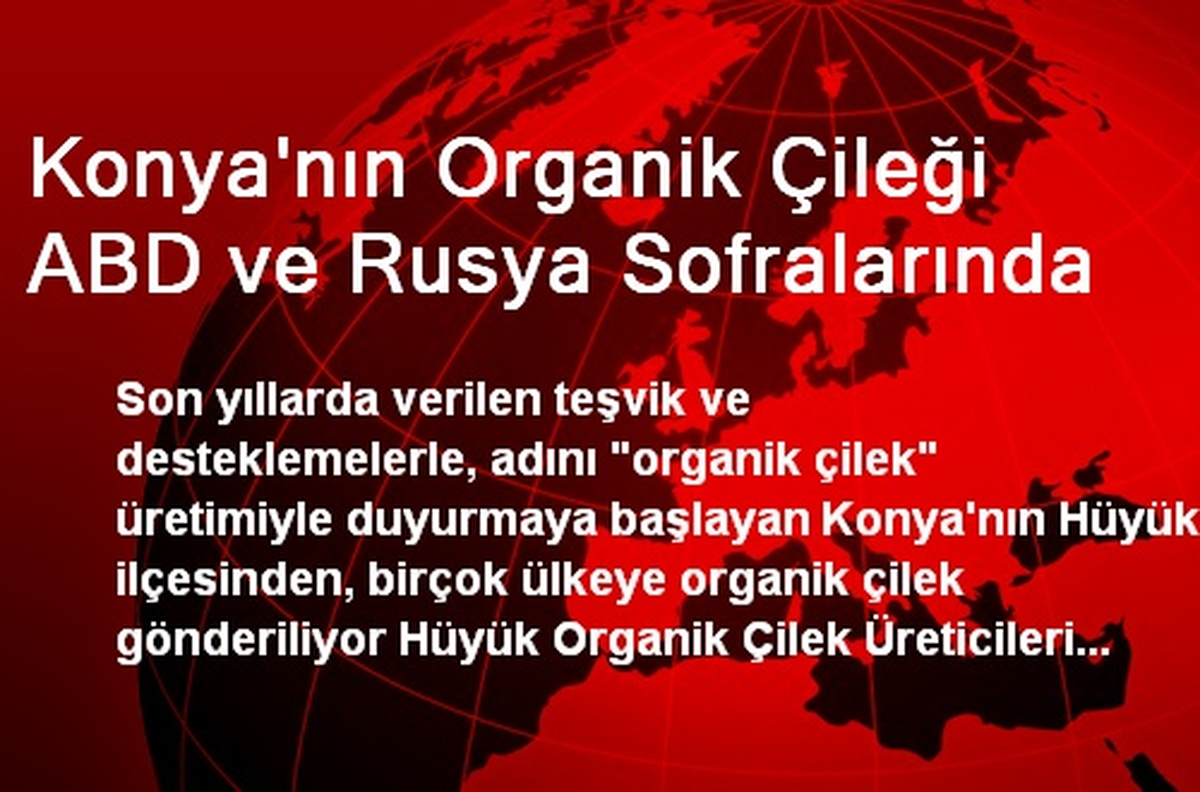 Konya\'nın Organik Çileği ABD ve Rusya Sofralarında