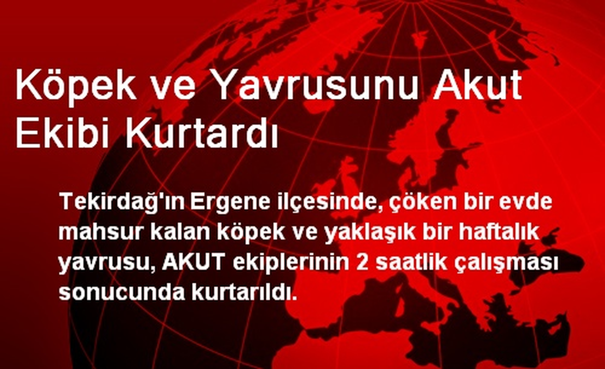 Köpek ve Yavrusunu Akut Ekibi Kurtardı
