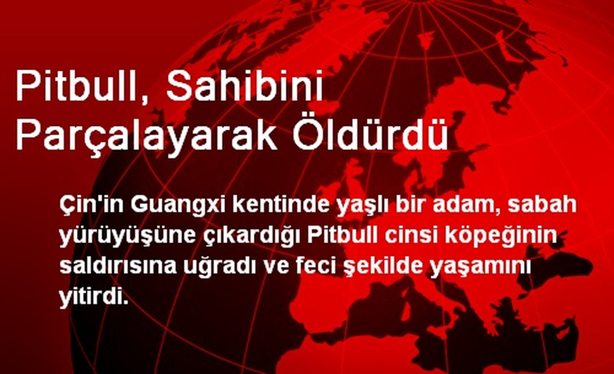Pitbull, Sahibini Parçalayarak Öldürdü