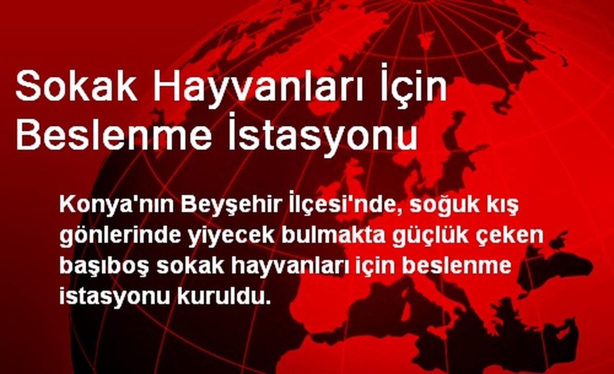 Konya\'da Sokak Hayvanları İçin Beslenme İstasyonu