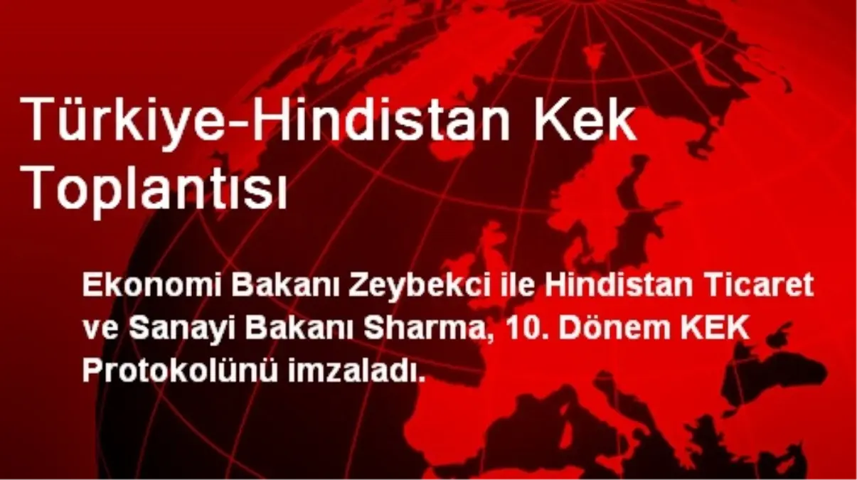 Türkiye-Hindistan Kek Toplantısı
