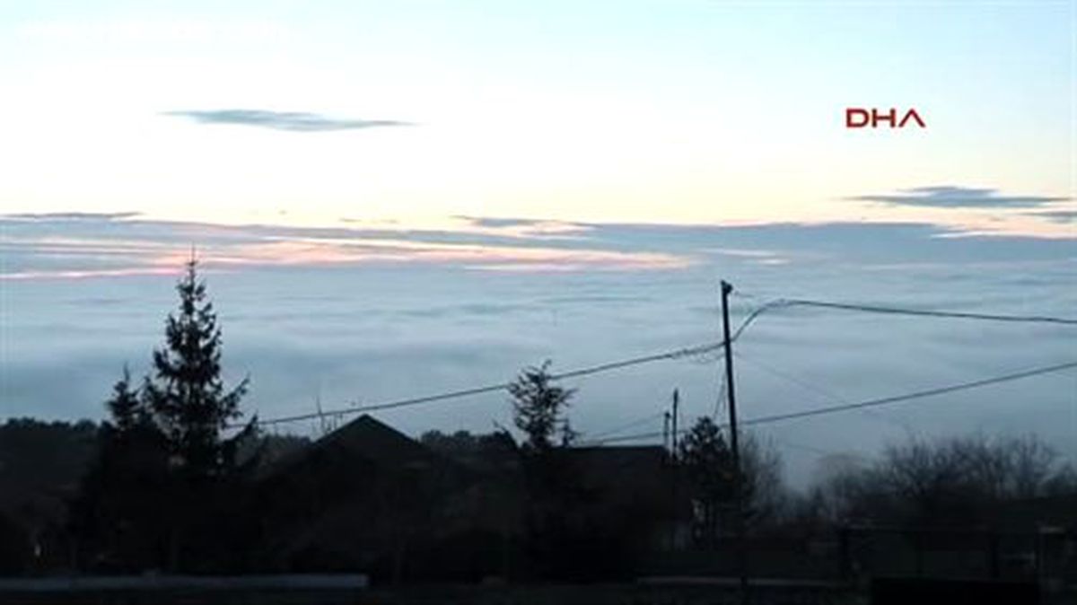 Bulutların Altındaki Mahalle