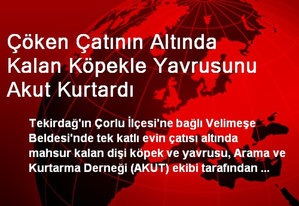 Çöken Çatının Altında Kalan Köpekle Yavrusunu Akut Kurtardı