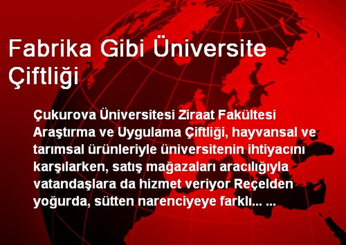 Fabrika Gibi Üniversite Çiftliği