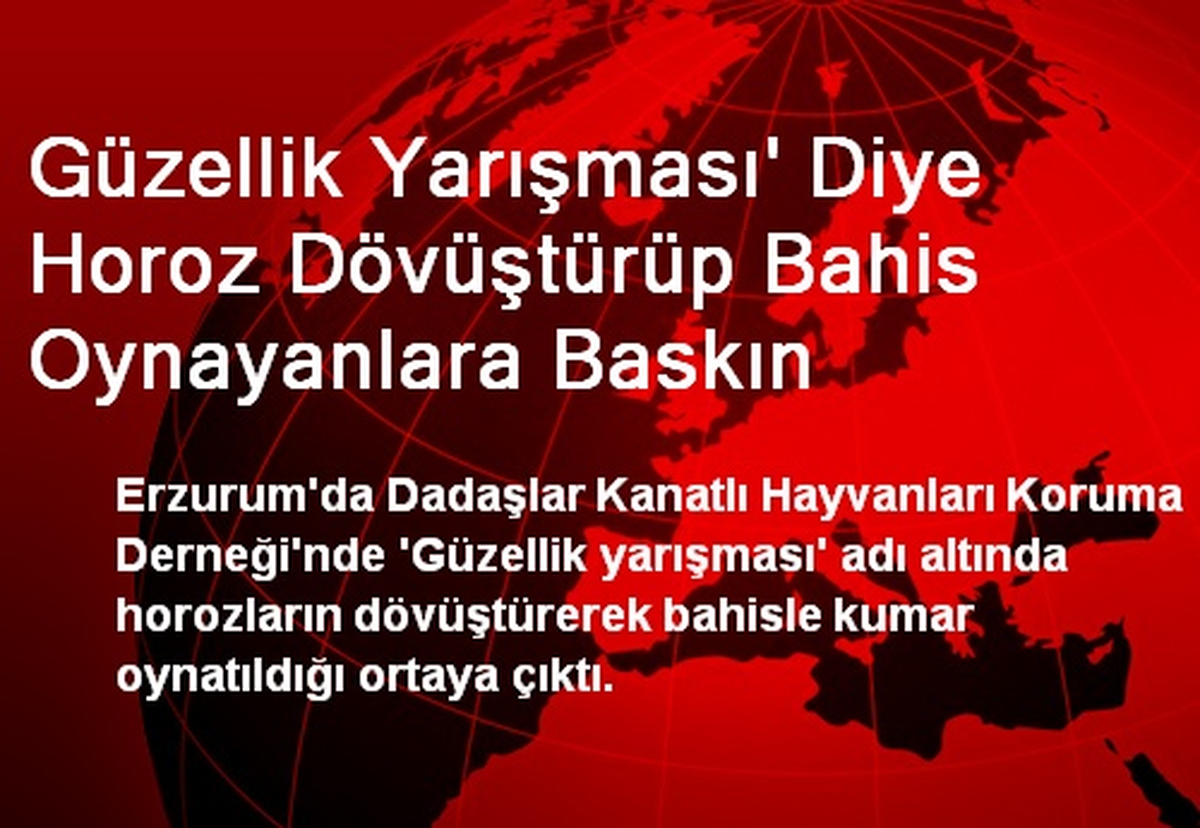 Güzellik Yarışması\' Diye Horoz Dövüştürüp Bahis Oynayanlara Baskın