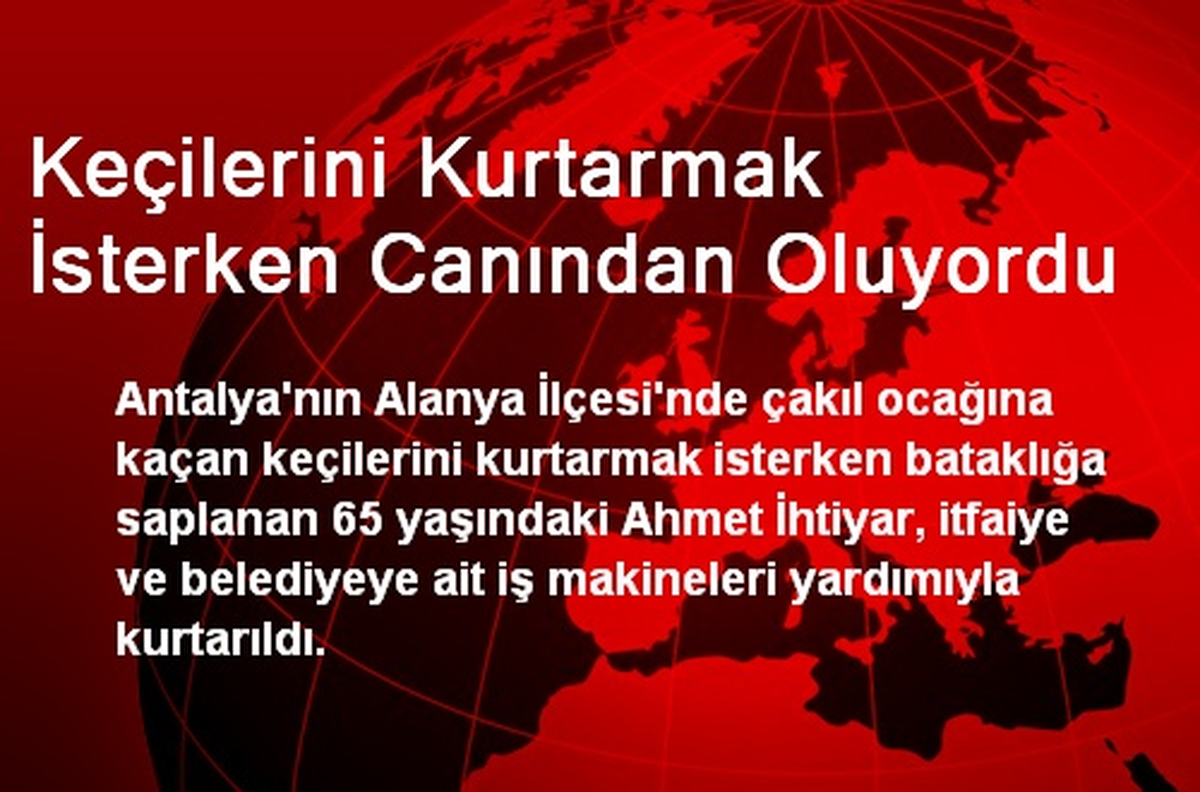 Keçilerini Kurtarmak İsterken Canından Oluyordu
