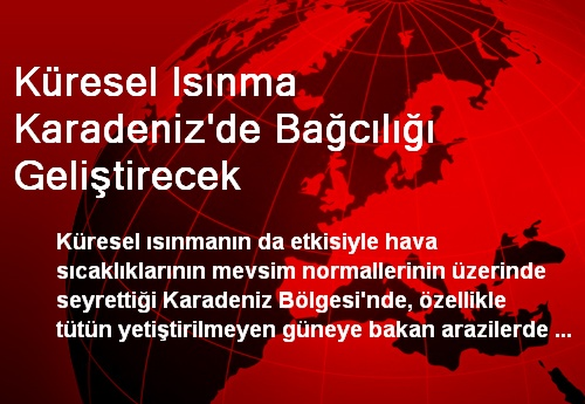 Küresel Isınma Karadeniz\'de Bağcılığı Geliştirecek