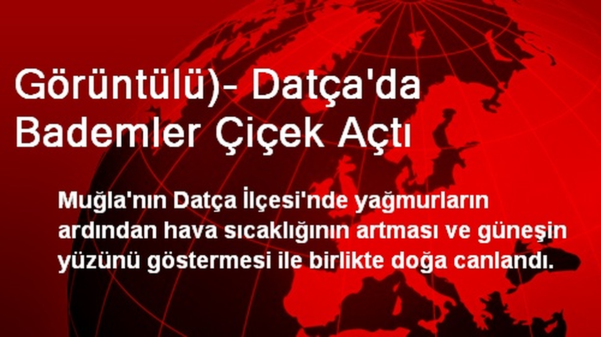 Görüntülü)- Datça\'da Bademler Çiçek Açtı
