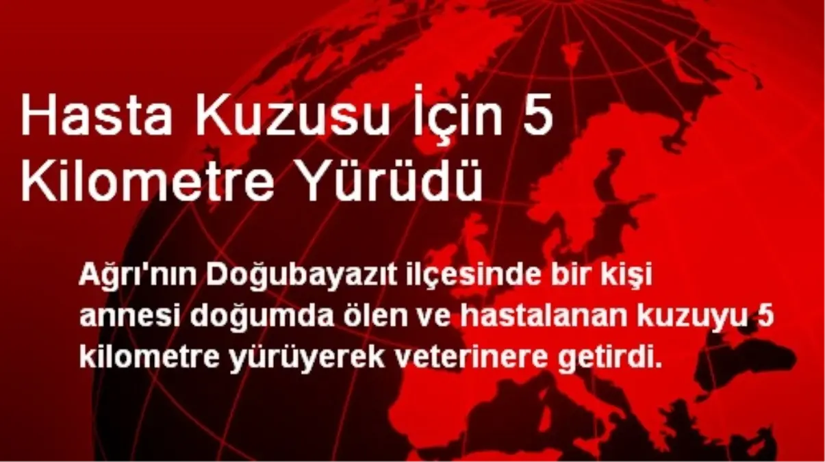 Hasta Kuzusu İçin 5 Kilometre Yürüdü