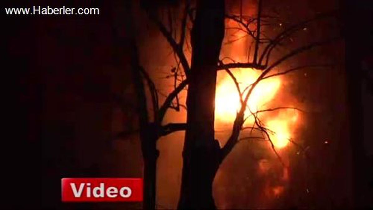 Beşiktaş'taki Küçükçiftlik Park'ta Yangın