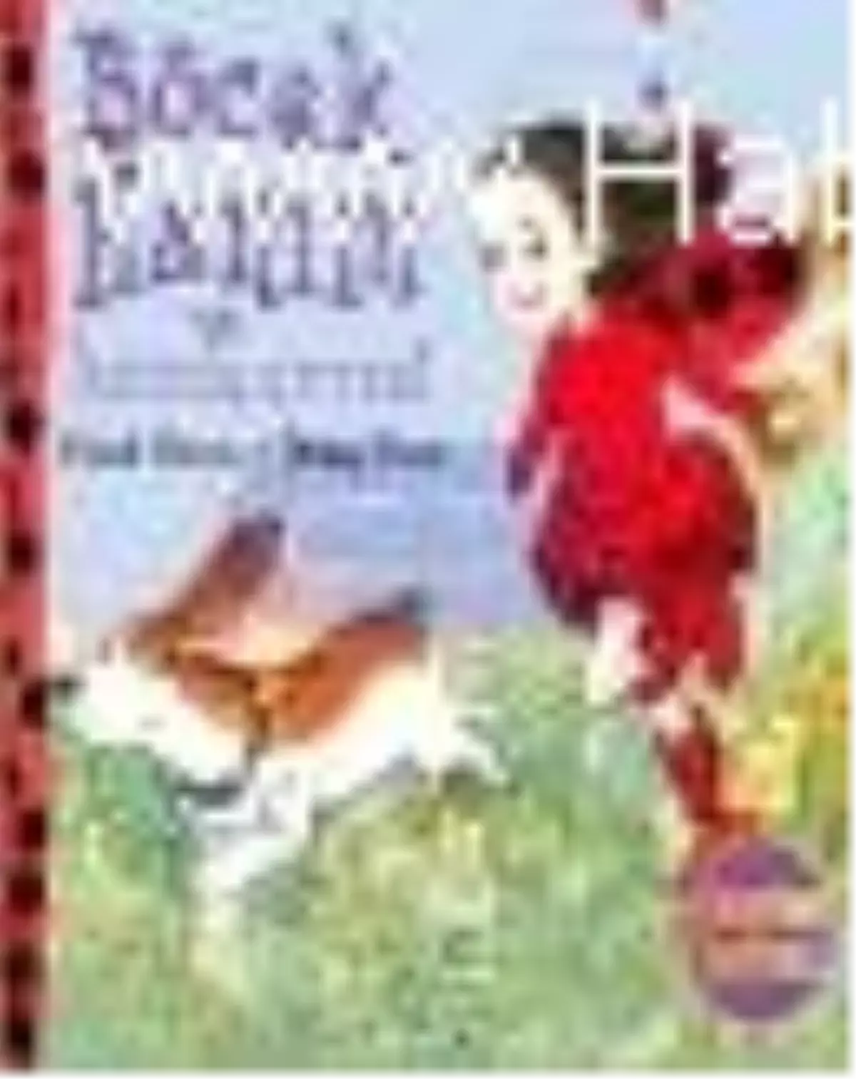 Böcek Hanım ve Böcek Çetesi Kitabı Çıktı