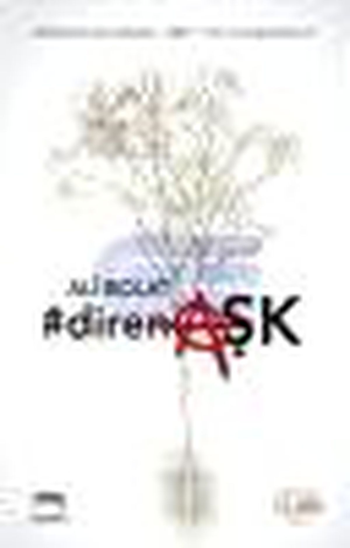 Direnaşk Kitabı